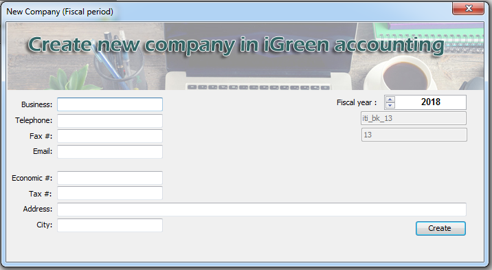 company file window in iGreen accounting