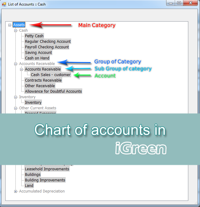 Chart of accounts in iGreen accounting software